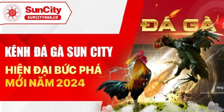 Bí Quyết Chọn Gà Chiến Thắng Cực Chuẩn Tại Đá Gà Suncity