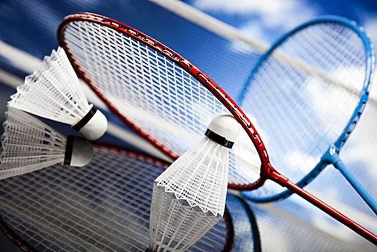 Bí Quyết Chinh Phục Cá Cược Cầu Lông Tại 79Win Thắng Lớn 2 Bí Quyết Chinh Phục Cá Cược Cầu Lông Tại 79Win Thắng Lớn