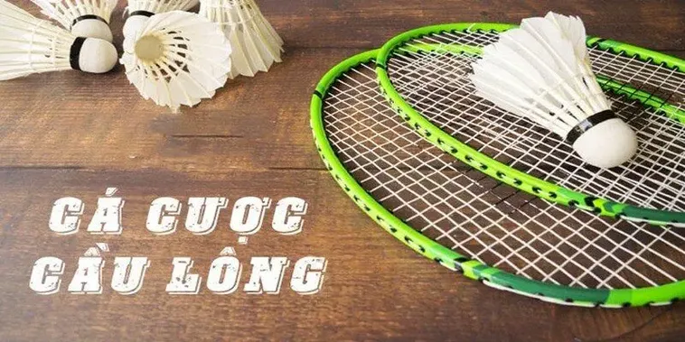 Hướng Dẫn Chơi Cá Cược Cầu Lông Tại 79Win Hiệu Quả Nhất 2 Hướng Dẫn Chơi Cá Cược Cầu Lông Tại 79Win Hiệu Quả Nhất