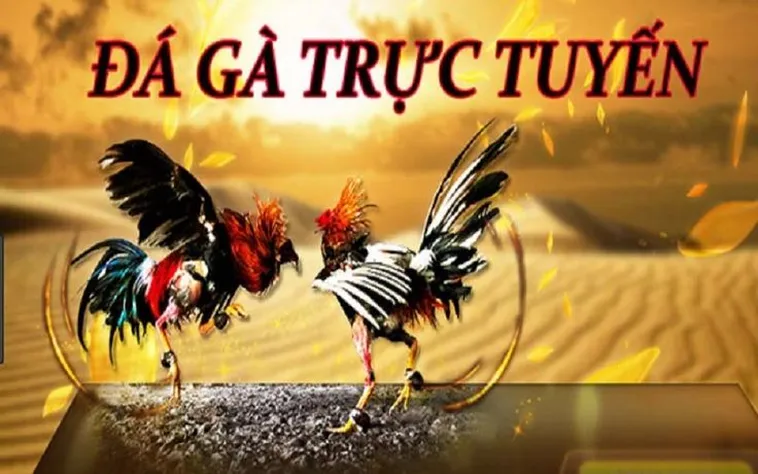 Đá Gà F8BET: Tham Gia Ngay Để Trải Nghiệm Hấp Dẫn 2 Đá Gà F8BET: Tham Gia Ngay Để Trải Nghiệm Hấp Dẫn