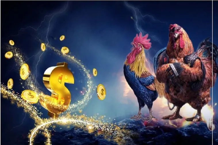 Bí Quyết Thắng Lớn Với Đá Gà BJ88: Hành Trang Cho Người Chơi Mới 2 Bí Quyết Thắng Lớn Với Đá Gà BJ88: Hành Trang Cho Người Chơi Mới
